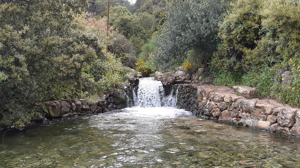 סקר מעיינות באגן הכנרת